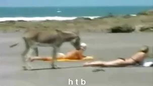 Nudo calcio ragazze scopata e coperto in nonne italiane hard cum